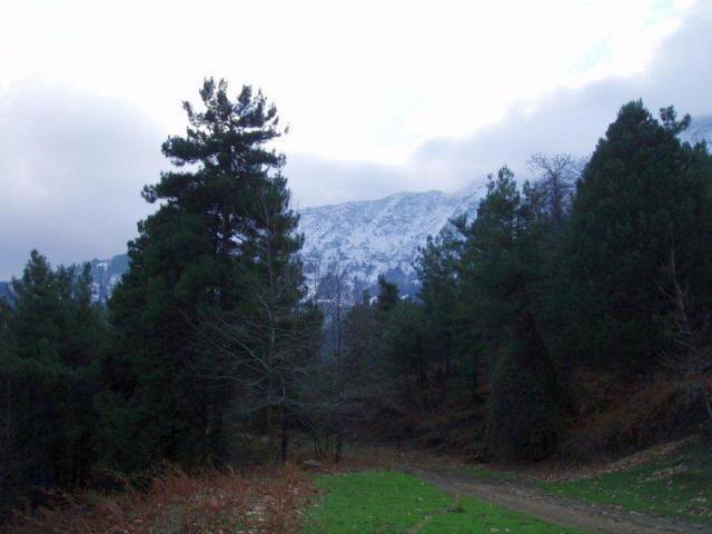 2011 buk 053