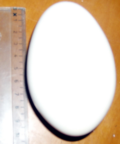 2012.02.14 007
