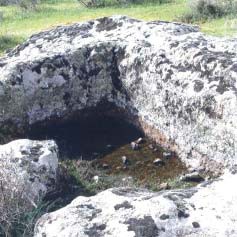 derveni1