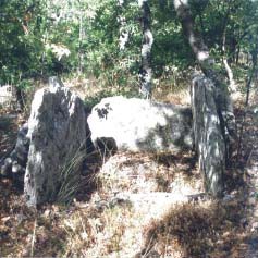 kotronia