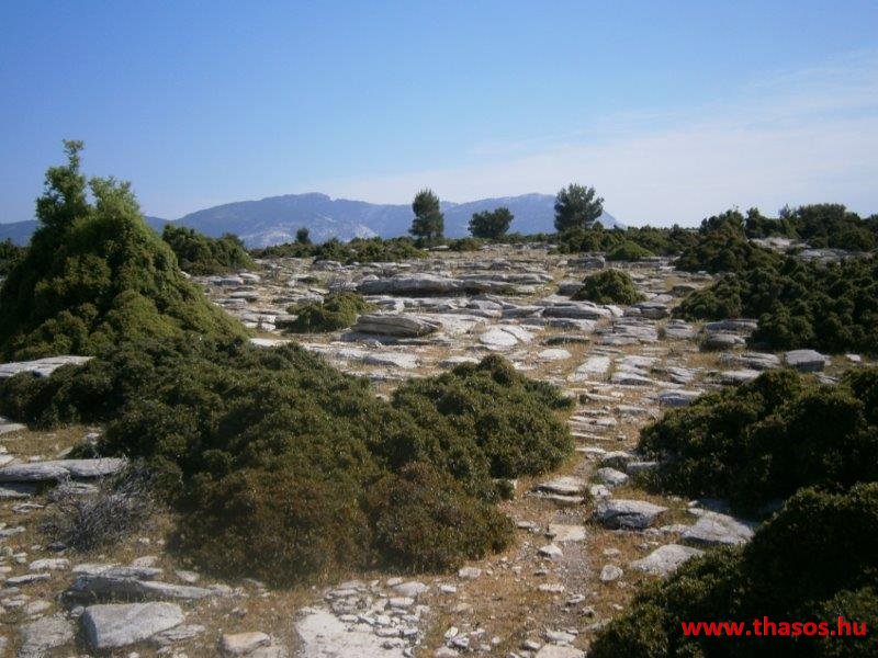 2013_05_06_kastri_07