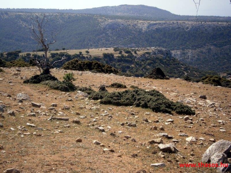 2013_05_06_kastri_11