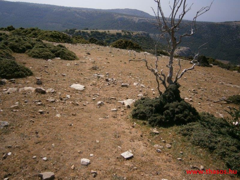 2013_05_06_kastri_22