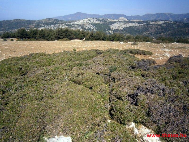 2013_05_06_kastri_24