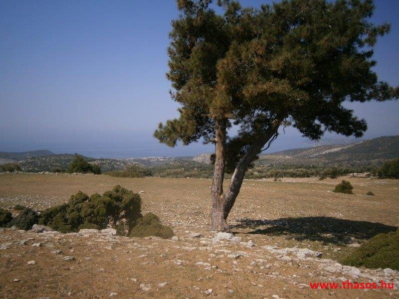 2013_05_06_kastri_25