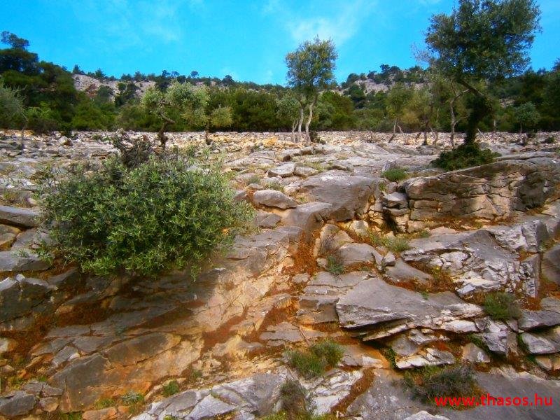 2013_05_06_romai_ut_01