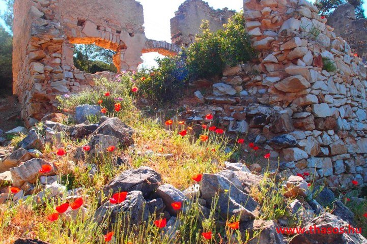 486720_377402689047397_1825812877_n