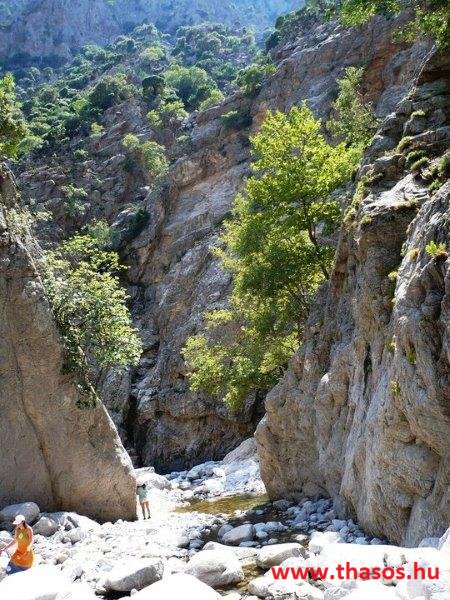 230277_10150189351387798_5116025_n