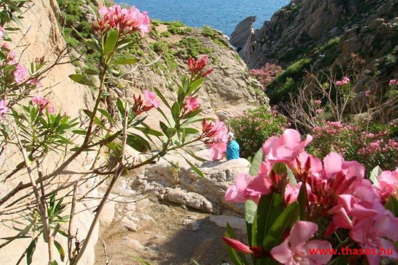 564077_10150951971642798_1954506763_n