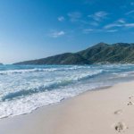golden_beach_part_3