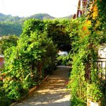 Barbara Apartman és Stúdió ****