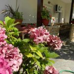 Barbara Apartman és Stúdió