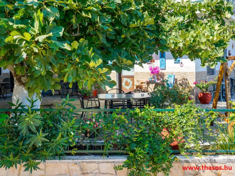 Ifigénia Apartman és Stúdió - Kert