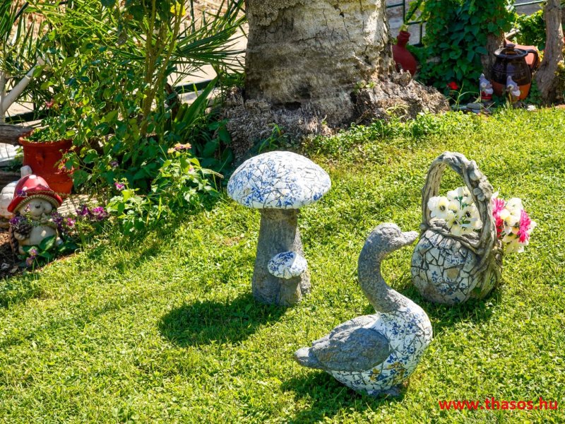 Ifigénia Apartman és Stúdió - Kert