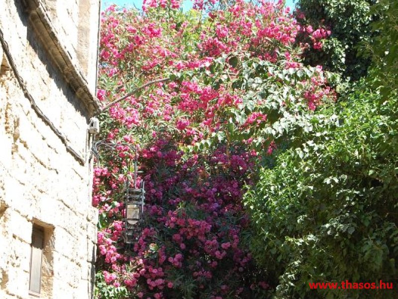 bocsika képei - 2014 Rodosz